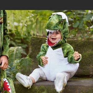 Pottery barn dinosaur cracked egg costume